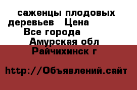 саженцы плодовых деревьев › Цена ­ 6 080 - Все города  »    . Амурская обл.,Райчихинск г.